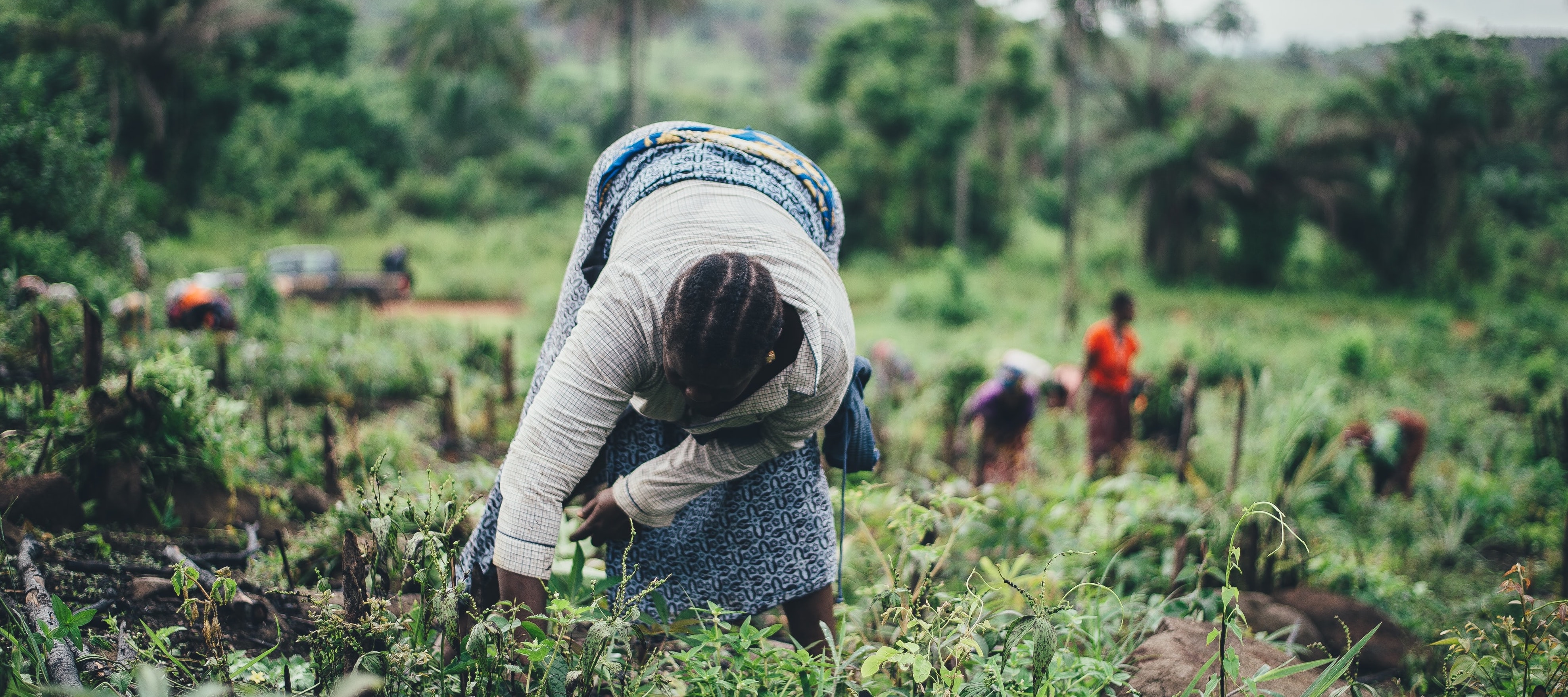 Internal consultation for land targets for SBTs for nature Science