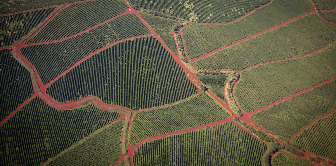 Why set SBTs for nature? Science Based Targets Network