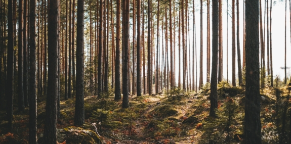 Learning Session #2 – May 18, 2021