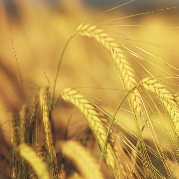 Explore next steps Science Based Targets Network