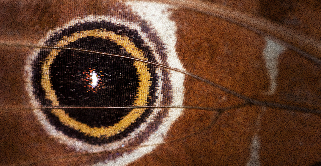 Science Based Targets Network