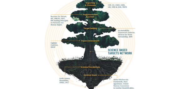 How do SBTs for nature relate to other sustainability initiatives?