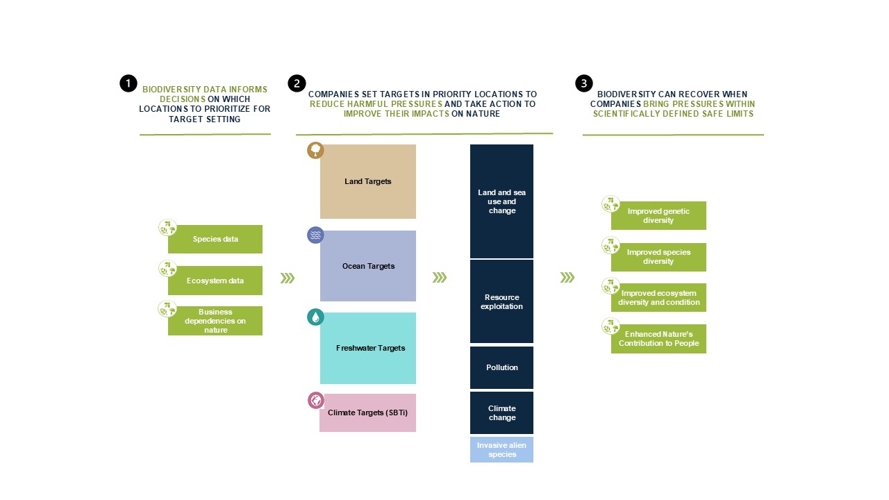 Driving measurable action on biodiversity (click to enlarge image)