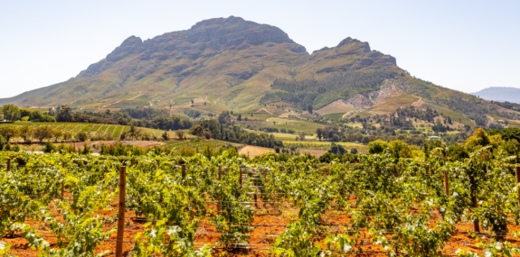 South Africa