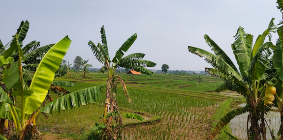 Southeast Asia