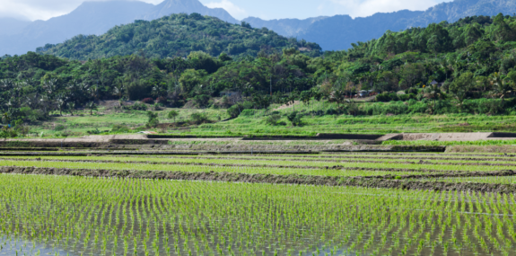 Taiwan