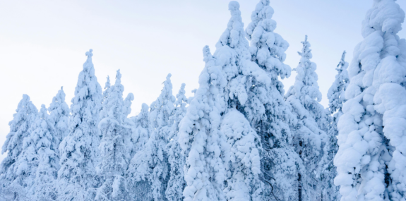 Finland